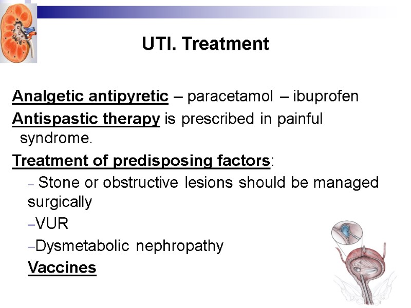 UTI. Treatment Analgetic antipyretic – paracetamol – ibuprofen Antispastic therapy is prescribed in painful